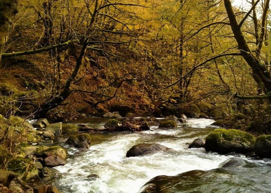 عكس های زیبا و رویایی از طبیعت شگفت انگیز ایران در فصل پاییز-EgZA5xaLBd