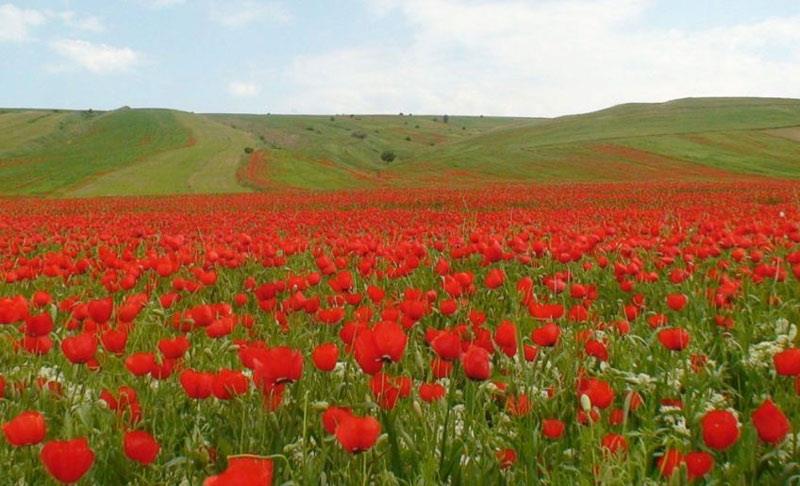 زیباترین جاده های ایران را می شناسید ؟-Egw9TBsVf9
