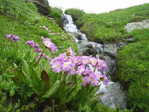 ۲۰ جای دیدنی ارومیه در تابستان-Egwcm9Ou2c