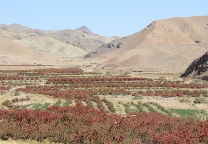 روستای روم-EhnGgX0kz9