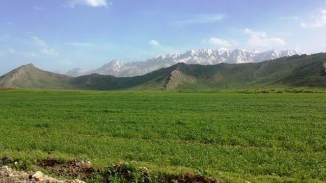 قالی كوه یا غالیه كوه-Esa4lNhVqc