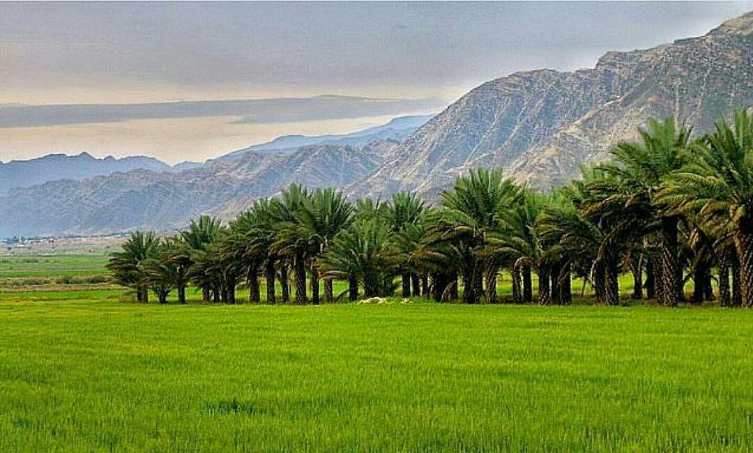جاهای دیدنی بوشهر ( ۲۰ جاذبه گردشگری )-EvVMpBt0jV
