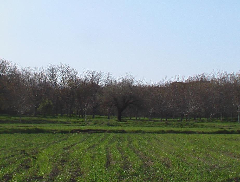 روستای بسنگرد قم-EwA2eyOuEE