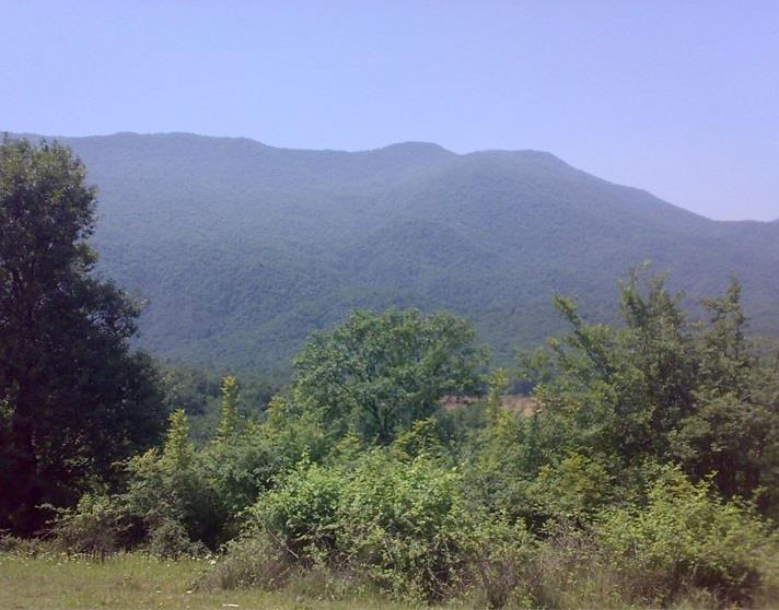 روستای چلی علیا-EyHoShmGi9