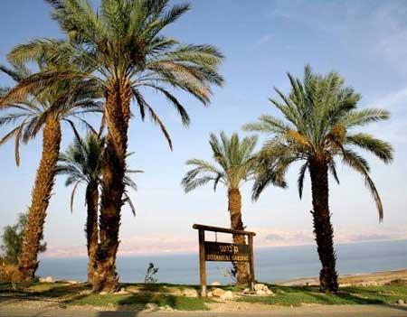 سرزمین تشنه دنیا-F5841Jn0k6