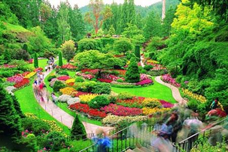 زیباترین باغهای جهان-F5favQXeGL