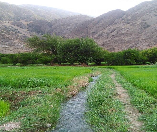 روستای سررك-FNE3xURoIL