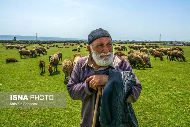 شرق مازندران، دارا اما ندار!-FNRtZjSqOp
