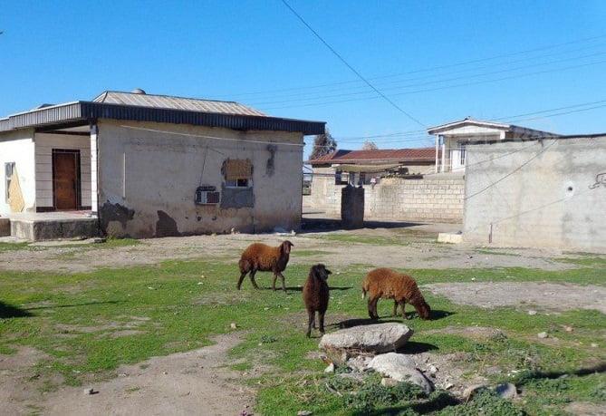 روستای بدراق ملا-FOqq7EgHnb