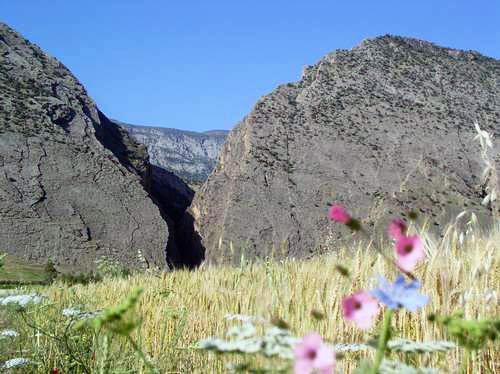 تنگ بهرام چوبین-FWxZqhhbIX