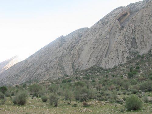 جنگل چاتیز جهرم-FZLL1KfARn