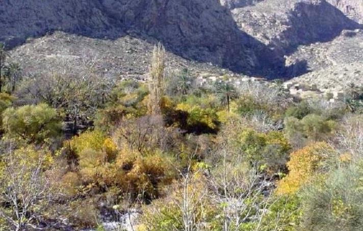 روستای بخوان-Fbgfa8K5yp