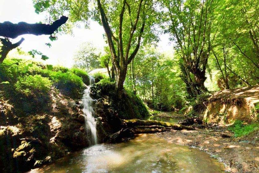 پارك جنگلی بزچفت (پارك جنگلی بابلكنار) بابل-FhWOMPopCb