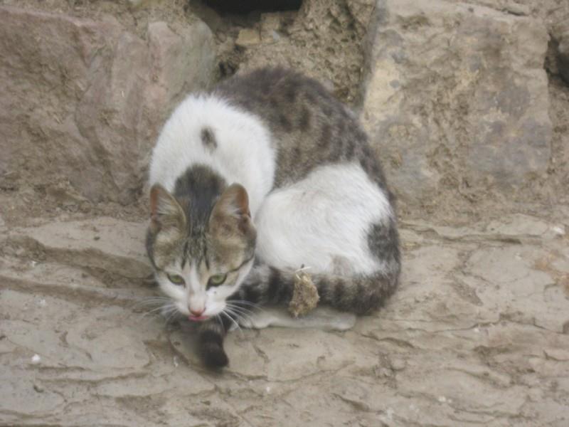 روستای پراچان-FjpfUBJx9f