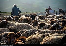 مشكلاتی كه با كوچنشینان كوچ میكند!-FktydKBuhw