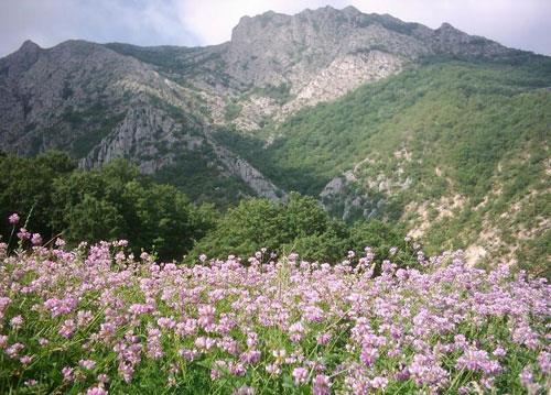 روستای دشت جاجرم-FlkXjcKV1V