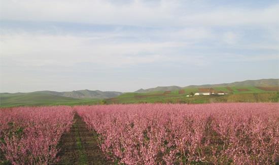 روستای آزاد لو-FsnsSK3QxC