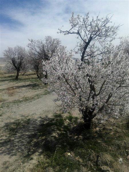 روستای خلجان-Fy6rgeZFg3