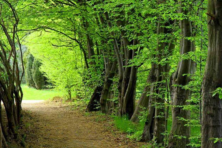۲۰ جای دیدنی گلستان در تابستان-G08Za3J5PY