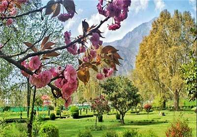 آشنایی با باغ زیبای هارون در كشمیر-G9OH1DTRLO