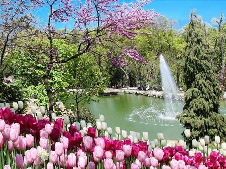بازدید از پارك امیرگان استانبول قطعاً ارزش امتحان را دارد-GC50iXEq9r