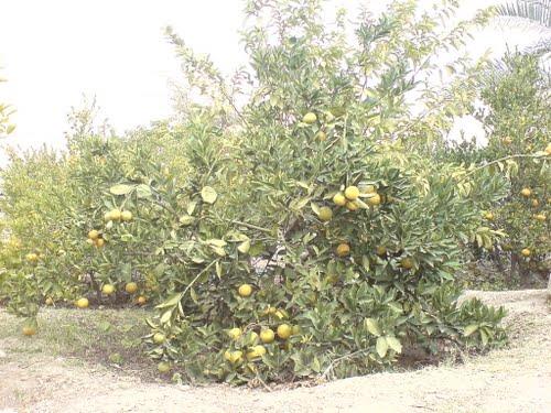روستای درگز هرمزگان-GDNUSQoUY3