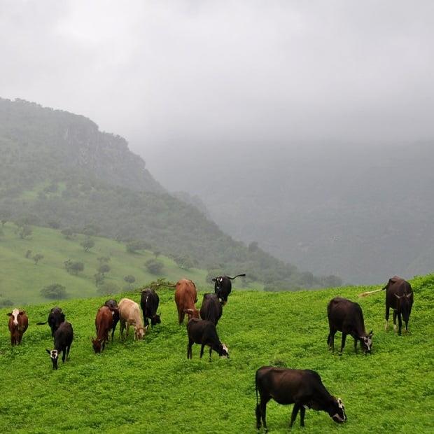 چلاسر و جل دو روستای زیبای ایران-GDRatcAvAx