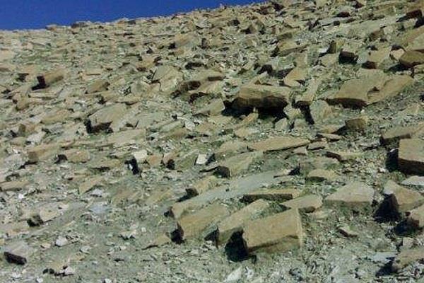 منطقه شكار ممنوع كوه بدیل-GNGpoIzeRj