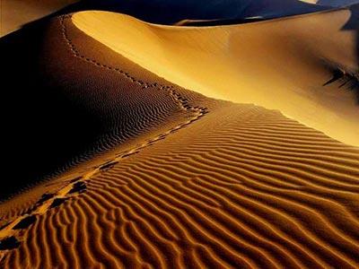 سفر به كویر مصر-GV0QYYHEXk