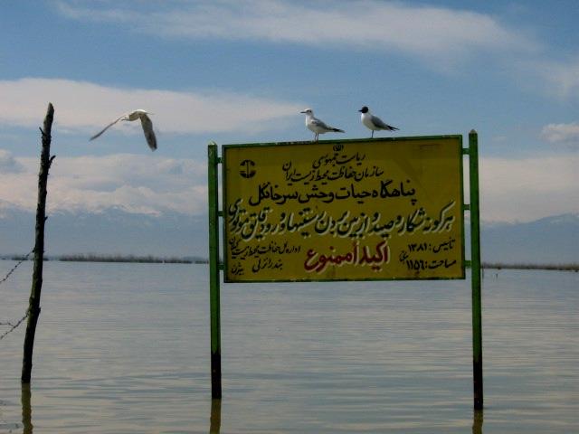 پناهگاه حیات وحش سرخانكل-GWbaJrEoiD