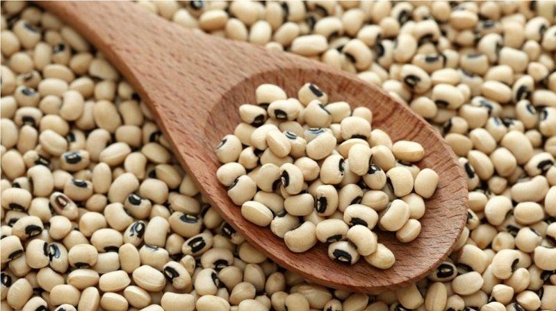 طرز تهیه ی انواع لوبیاپلو در ایران-GaLeepcdyd