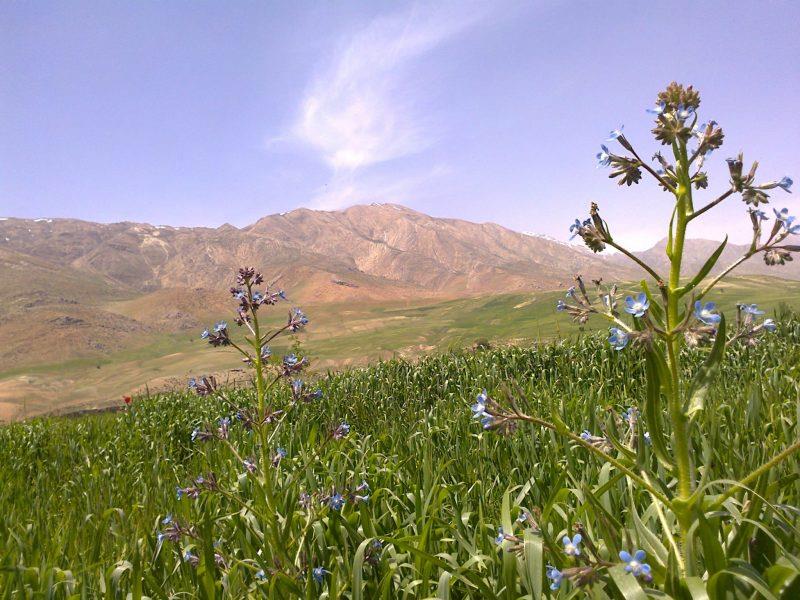 روستای تیل برده سر-GckLaDjEws