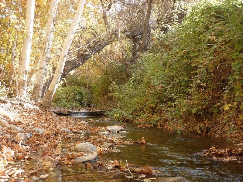 تفرجگاه خارزنج خلیل آباد-GiKPIur8z5
