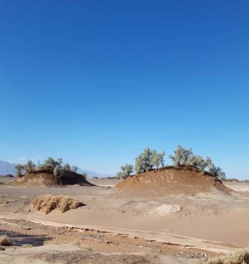 روستای شفیع آباد كرمان-Gs8AcUc5qL