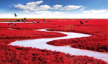 جاهایی در چین كه حتما باید دید!-GwVglnJ1dw