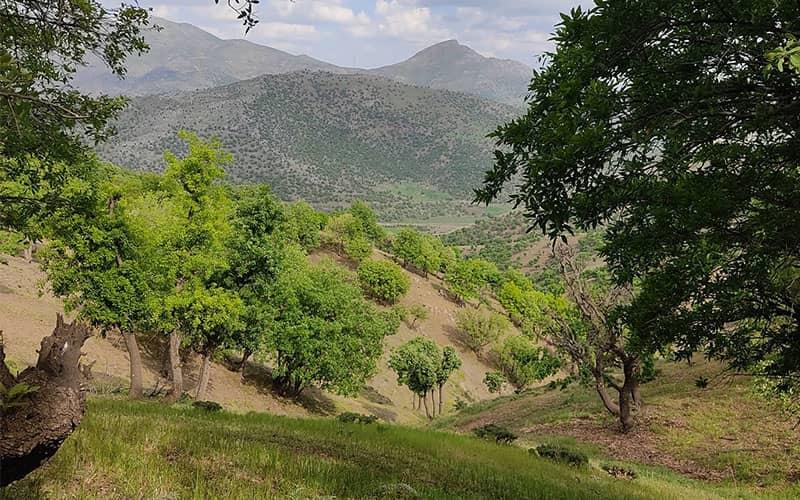 روستاهای بانه ( معرفی ۲۰۵ روستای بانه )-GwXDZrlbui