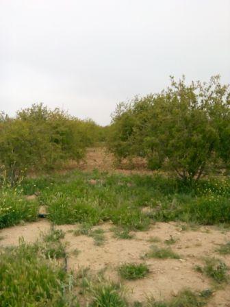 روستای تنگ طه-GxHq1ax4w3