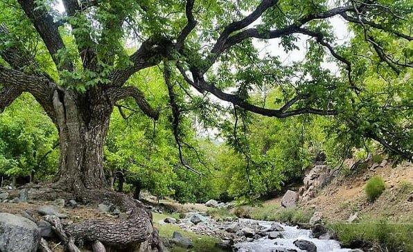 دهستان خبر و جاهای دیدنی آن-H0Q0KP2MIu