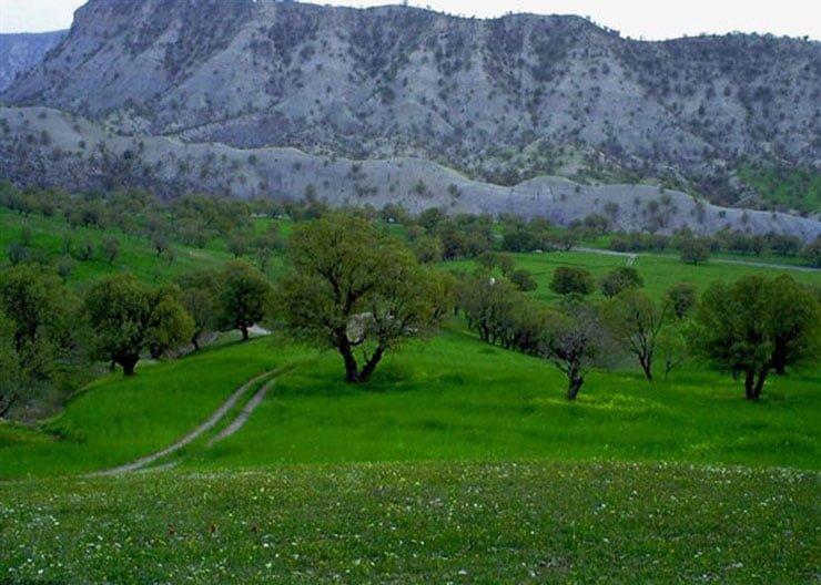 تفرجگاه جنگلی ششدار-H3ksocYAv6