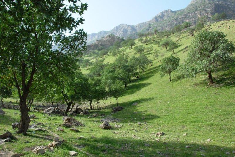 روستاهای لردگان ( معرفی ۲۸۰ روستای لردگان )-H9rYWW0yfI