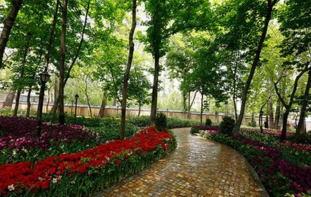 باغ های زیبای تهران-HDWS0gdoT1