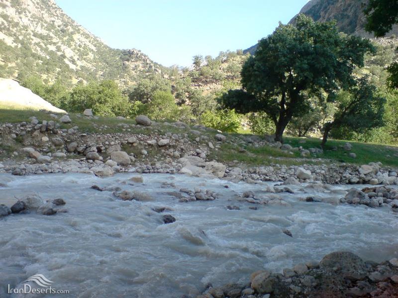 تنگ تهی-HFo53aqSEV