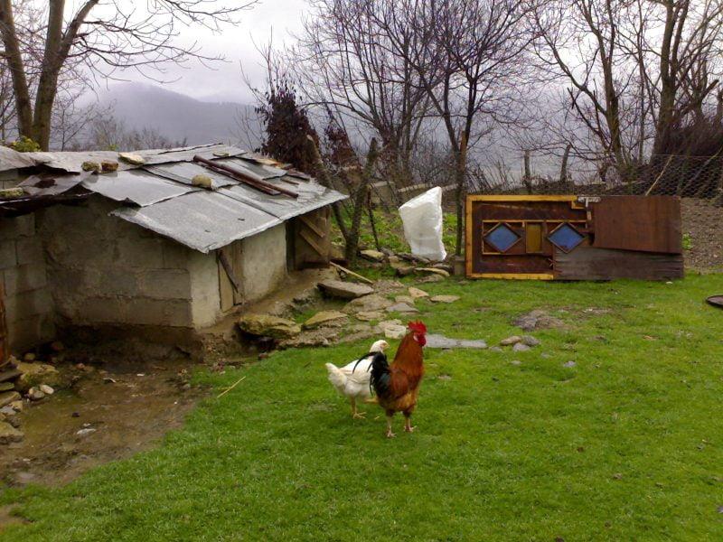 روستای ورند-HKuT8FTgP0