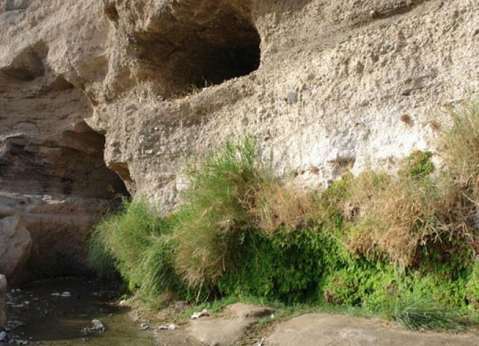روستای لادیز-HhdD3YfEIT