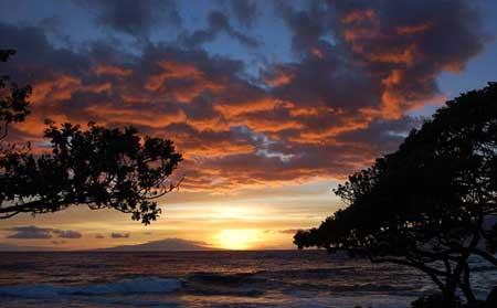 جزیره مائویی، زیباترین جزیره جهان-HhleRzXFeX