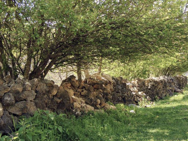 روستای كروچ وشرودان-HjZkWfLmJf