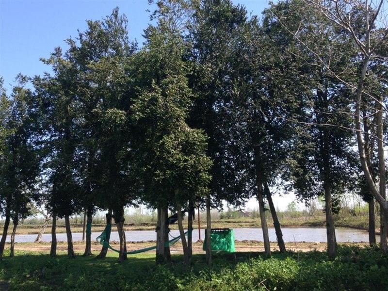 روستای خاجان چهاردانگ-HkZzeYSh0P