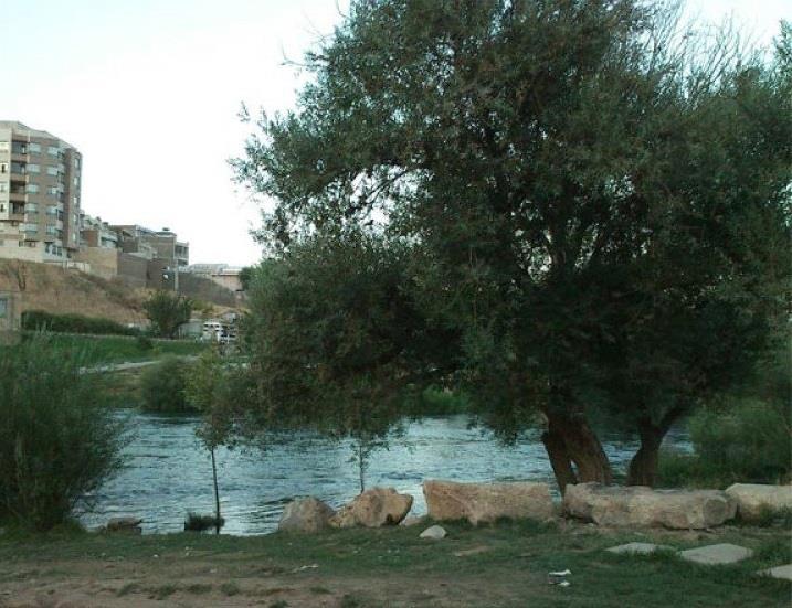 پارك ملت مهاباد-Hm76TOAAQL