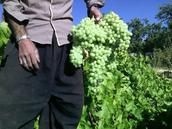 روستای قلعه لان كرمانشاه-HmuyiQDTXl