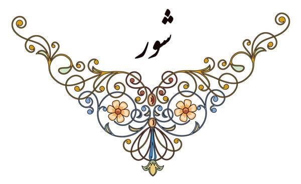دستگاه شور-HrAZ4W31AI